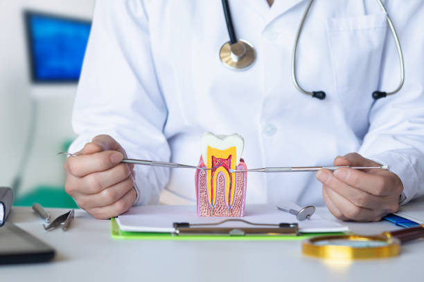 Best Emergency Dentist for Knocked-Out Tooth in Pea Ridge, AR